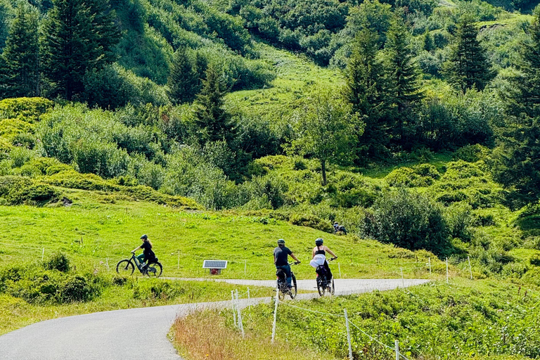 جولة بدراجة كهربائية في وادي روزنلاوي من إنترلاكن
