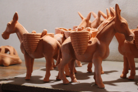 Boa Vista: The Full-Day around Boa Vista tour with Lunch