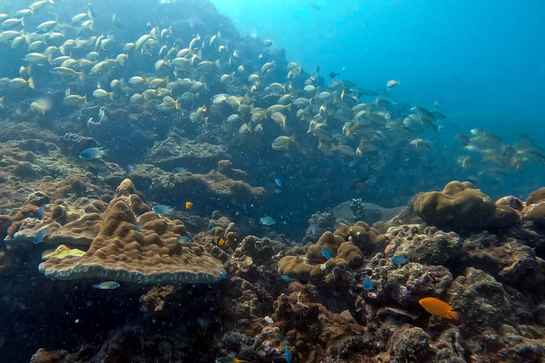 Scuba diving from stunning coral reef in the heart of Phuket