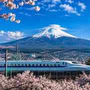 From Tokyo: Mount Fuji Day Trip with Bullet Train Ride