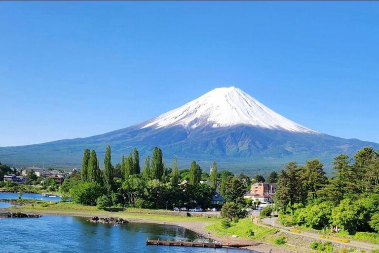 Mt Fuji Sightseeing Private tour with English Speaking Guide