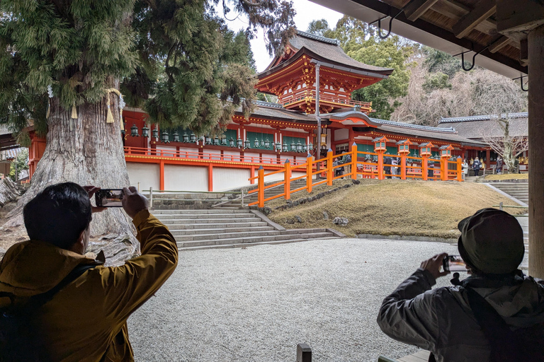 Private Nara Tour: UNESCO Heritage Sites & Deer Park Tour