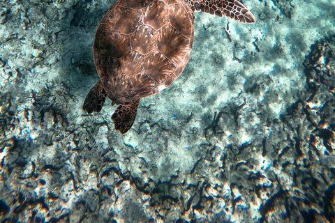 Honolulu: Private Waikiki Boat Cruises for up to 6 People