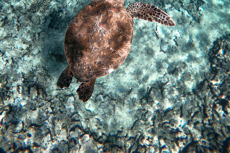 Honolulu: Private Waikiki Boat Cruises for up to 6 People