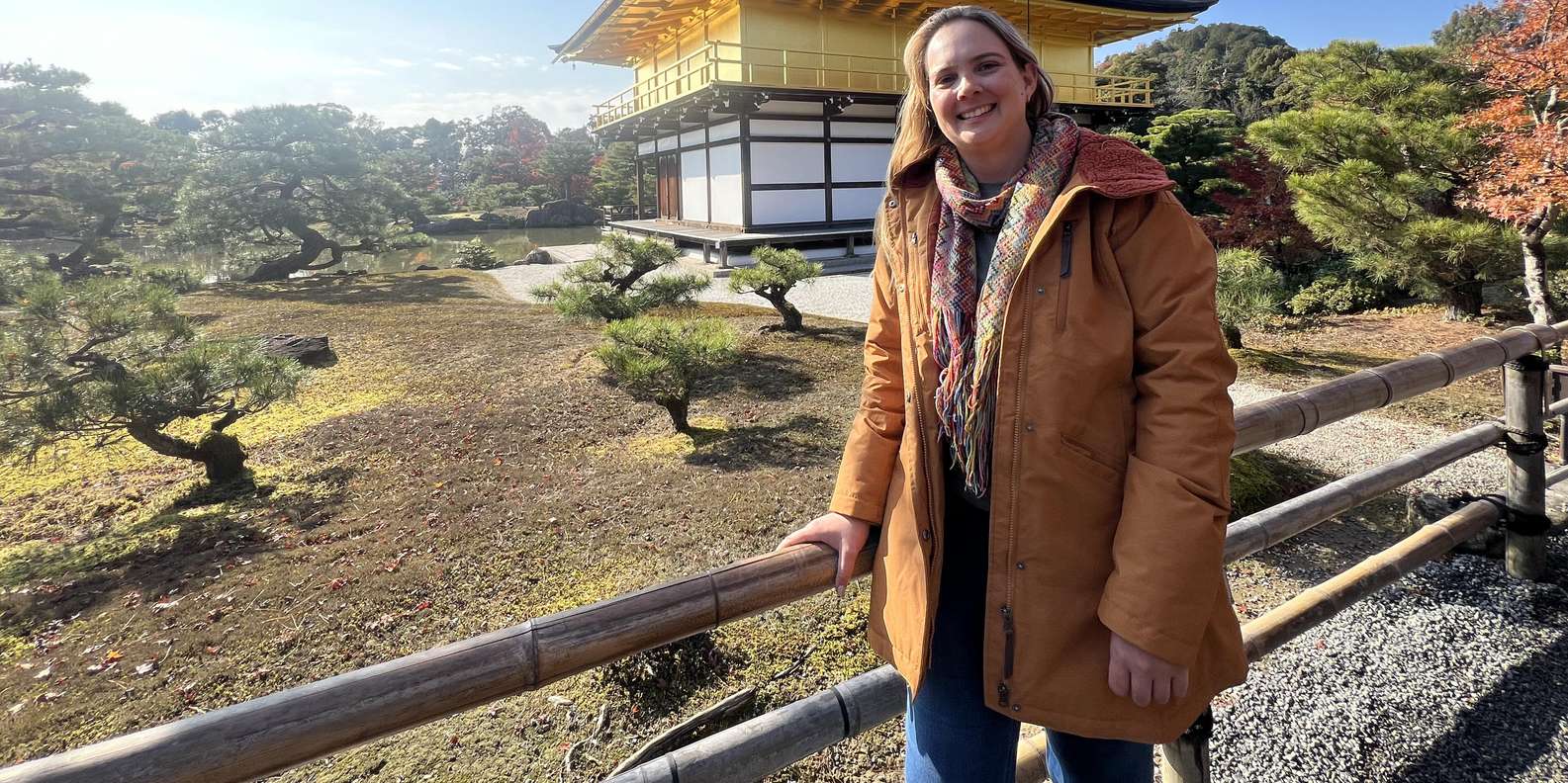 Kyoto experience — temples, geisha, bamboo grove — image 7