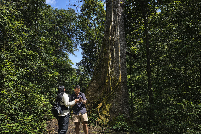 Monteverde: Roots of the Future Walk at Finca Lantana