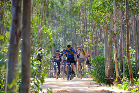 Tour in bicicletta di Musette Lagos