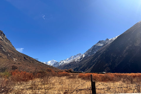 From Kathmandu: 10-Day Langtang Valley Trek