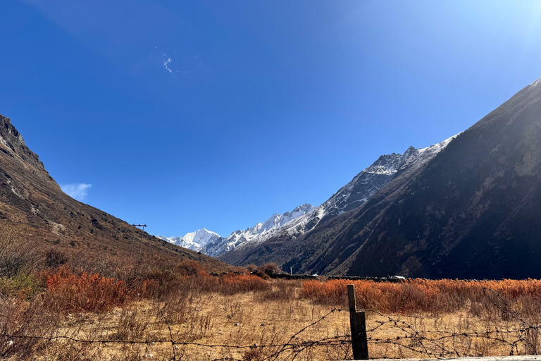 From Kathmandu: 10-Day Langtang Valley Trek