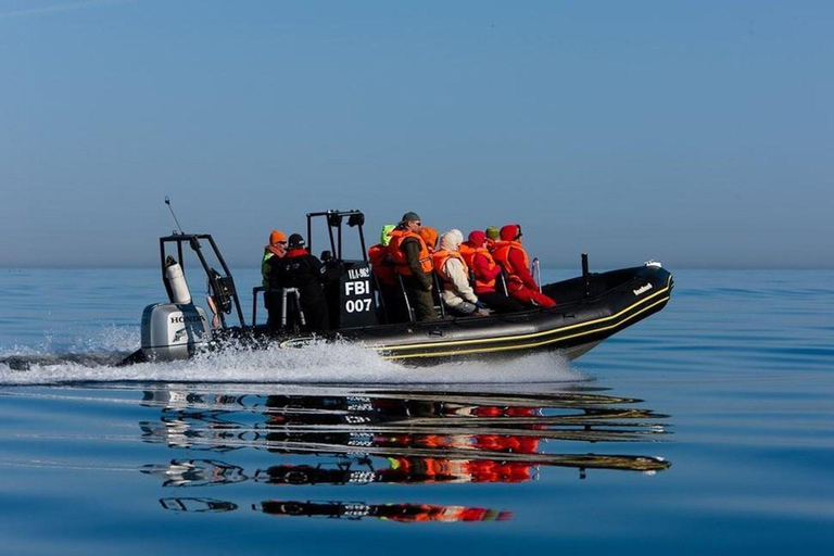 From Tallinn: Half-day Guided tour to Naissaar island