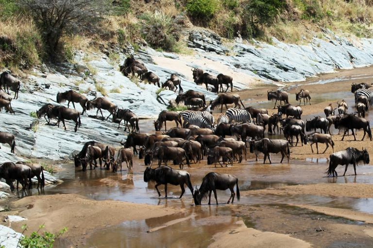 6-Day Masai Mara/Serengeti and Ngorongoro Crater