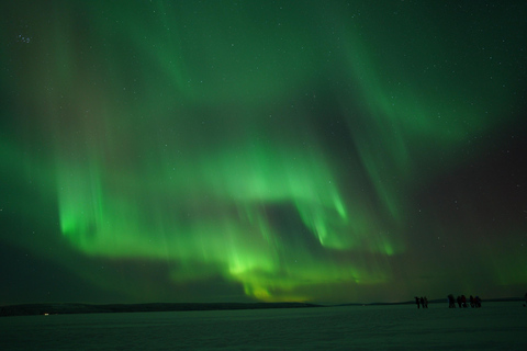 Northern Lights Rovaniemi Guaranteed & Unlimited KM Hunting