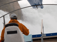 RhineFalls & Stein am Rhein (Tour private) - Housity