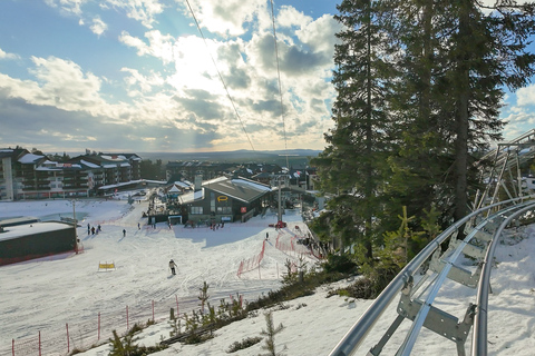 Rovaniemi: Ruka Coaster & Winter Adventure Day Trip ⭐ Ruka Premium | 10h | Full Winter Adventure