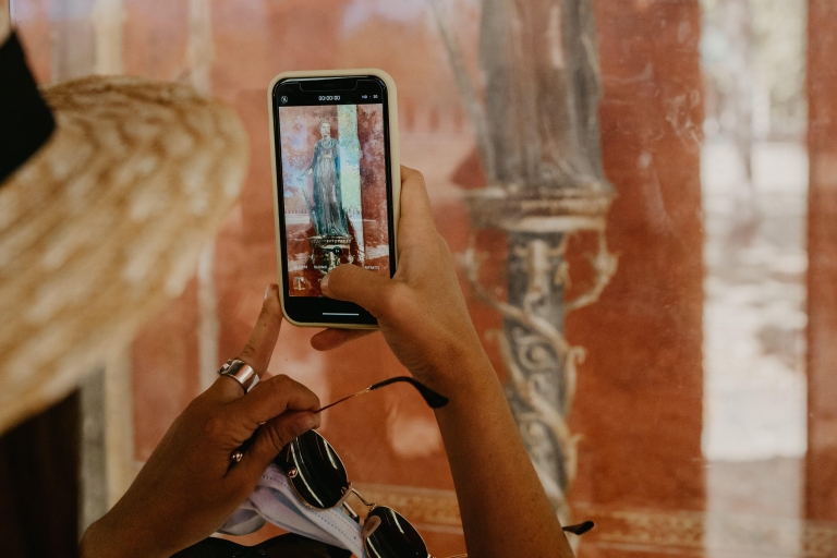 Pompeii: toegangsticket, bagage-opslag en app-audiogidsTicket zonder villa's in de voorsteden
