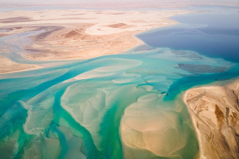 Katar: Wüstensafari, Sandboarding, Kamelreiten, BinnenmeerGemeinsame Tour