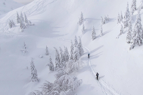 Stubai Valley: Ski Tour for Advanced Skiers Innsbruck: Ski tour for advanced skiers