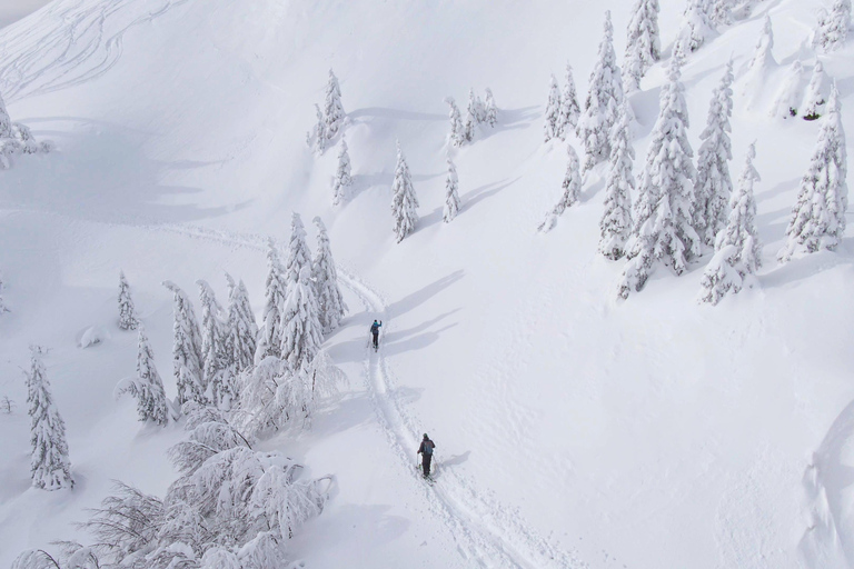 Stubai Valley: Ski Tour for Advanced Skiers Innsbruck: Ski tour for advanced skiers