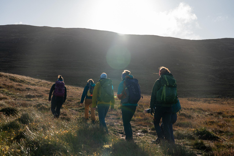 Edimburgo: Excursión a Arthur&#039;s Seat con GuíaCaminata privada