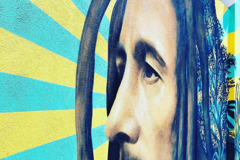 Bob Marley, Blue Hole, Secret Falls and Luminous Lagoon Tour From Montego Bay/ Falmouth/ Trelawny