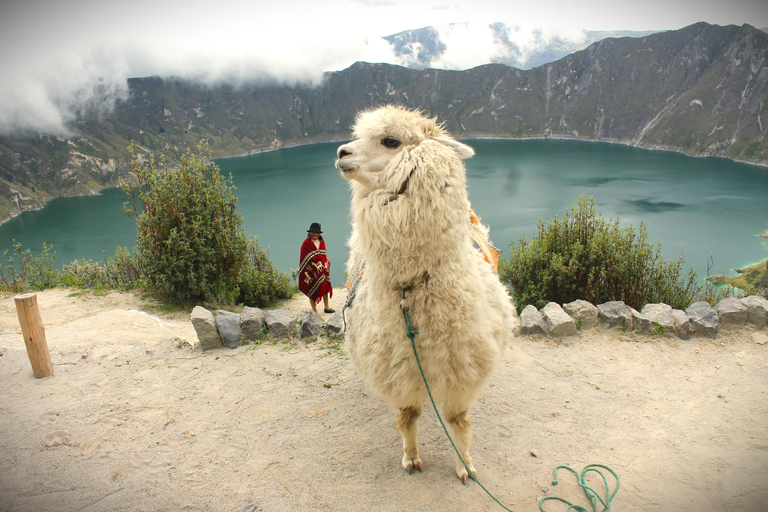 Ecuador: La Strada dei Vulcani - Tour di 7 giorniEcuador: La Via dei Vulcani - Tour di 7 giorni