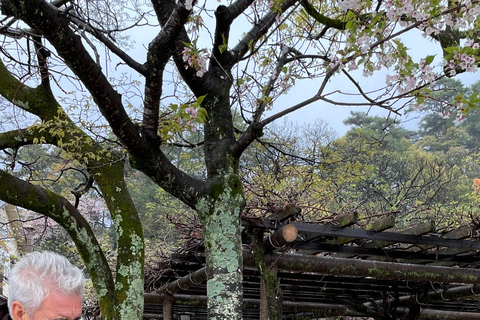 Hiroshima : La ville de la paix - visite privée avec un guide local