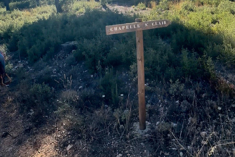 Provence: 2-hour Western horseback riding tour, refreshing break in the river Provence: 2-Hour Western Horseback Riding Tour, Refreshing Break in the River