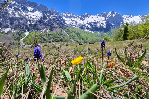 Erlebe die Pracht der albanischen Alpen auf einer 3-tägigen Tour