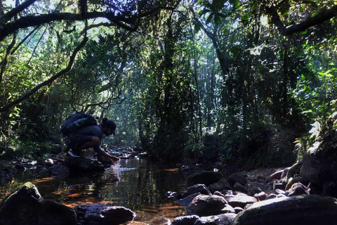 Kandy: Hidden Jungle Infinity Pool & Waterfall Expedition