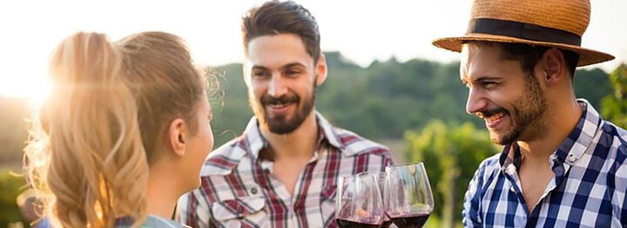 Au départ du Cap : visite d'une jounée dans les vignobles du Cap + tramway