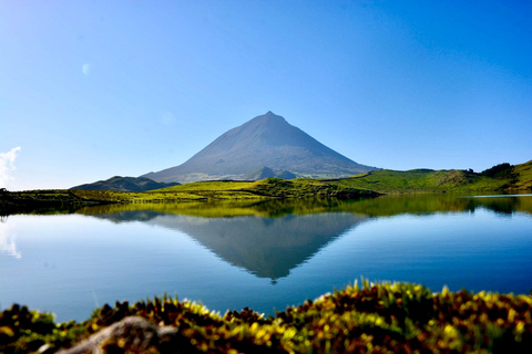 Pico Island: Lagoons and Mysterious Lava Tunnels Guided Tour