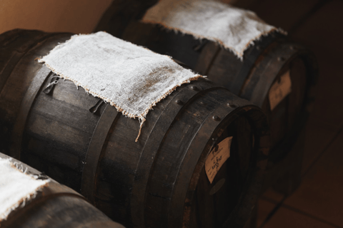 Balsamic Vinegar, Wine Tasting & Tour near Parma & Reggio Balsamic Vinegar & Wine Tasting in Reggio Emilia - Italiano