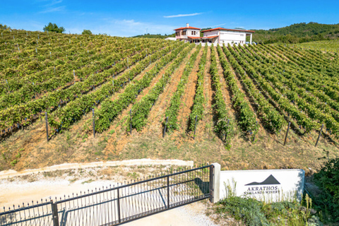 Thessaloniki: Halkidiki Wine Tour with Aristotle's Park