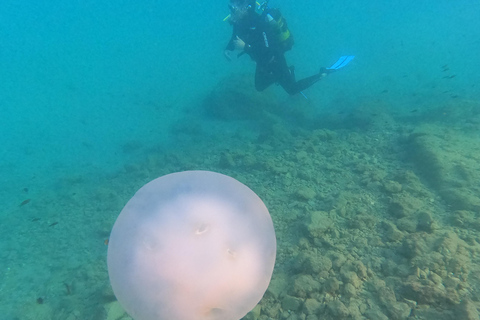 Salou: Scuba Diving for Beginners