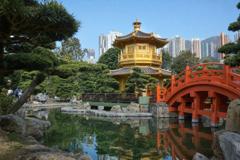 Hong Kong: Nan Lian Garden, Chi Lin Nunnery & Temple Tour Private Tour
