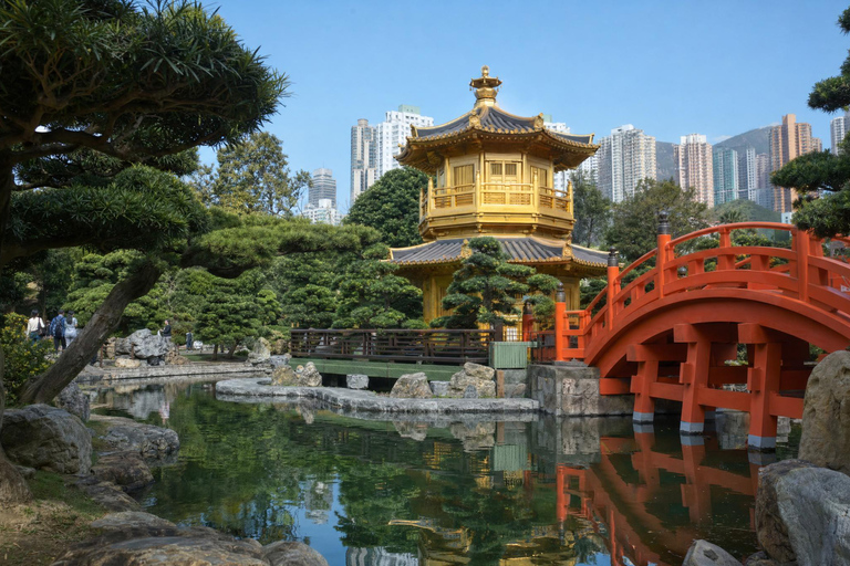 Hong Kong: Nan Lian Garden, Chi Lin Nunnery & Temple Tour Private Tour
