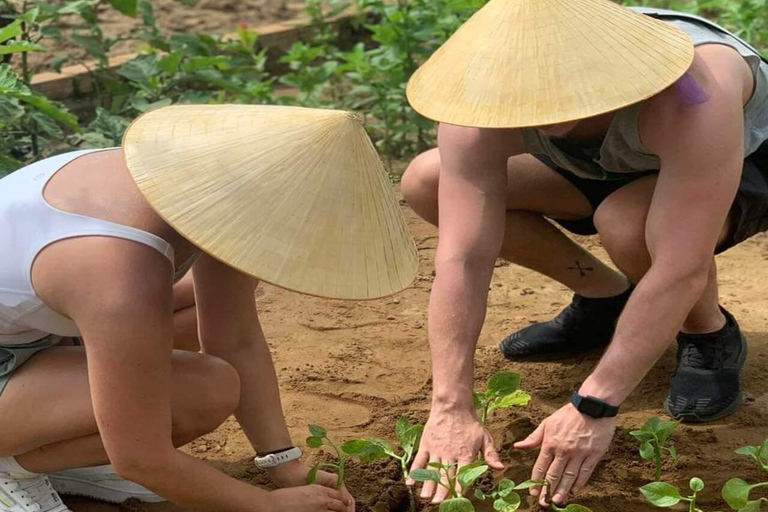 Agricultura - Mercado local - Aula de culinária em Tra Que Vegetable