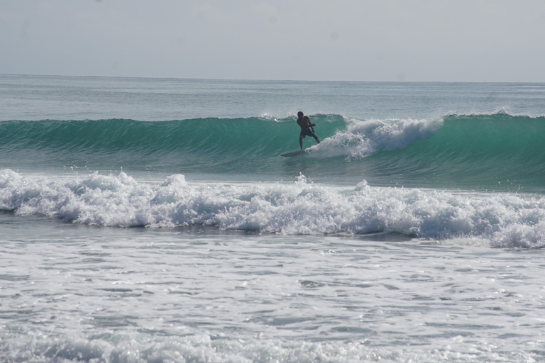Bocas del Toro: Surf Trip with Board Rental and Transfer