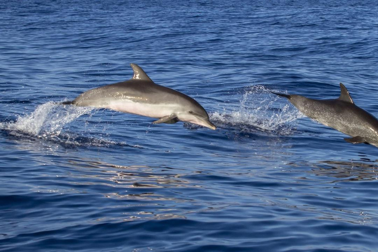 Djerba : Balade en mer vers le Fort Borj Castille