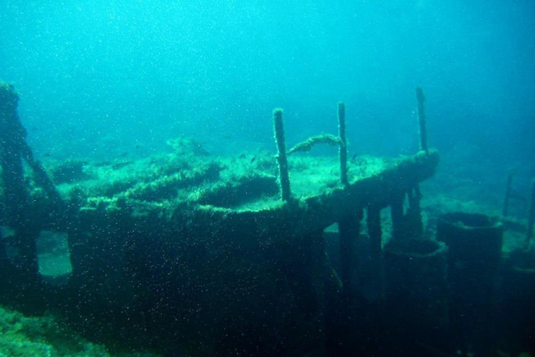 FROM PAPHOS: 1.5 HRS Glass Bottom Boat Cruise with swimming