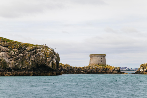 Dublin: Dublin Bay, Howth Coast and Ireland's Eye Boat Tour
