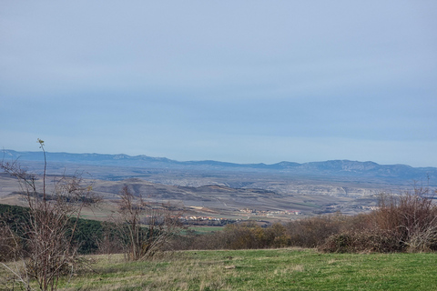La Rioja : visite guidée à véloRoute des vins de Haro