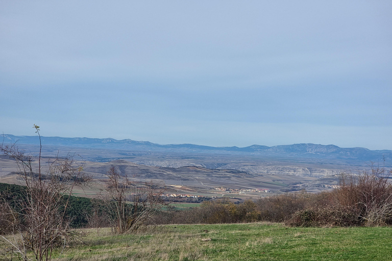 La Rioja : visite guidée à véloRoute des vins de Haro