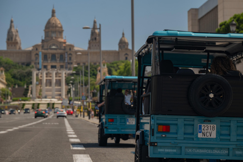 Barcelona: 3-Hour Private Panoramic Tuk-Tuk Tour