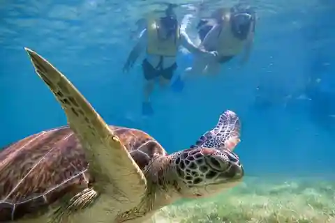 Tulum: Ruïnes, schildpadden & Cenoten Avontuur