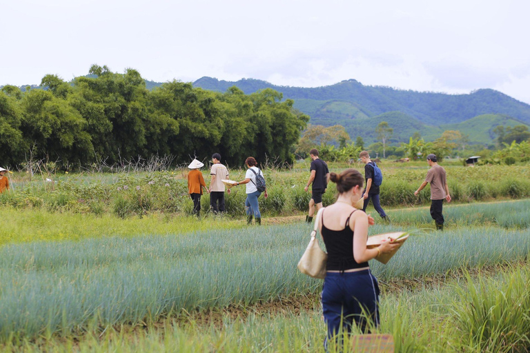 Hue: Village Cycling or Tractor Ride, Farming& Cooking Class Hue: Bicycle Countryside Tour with Cooking Class