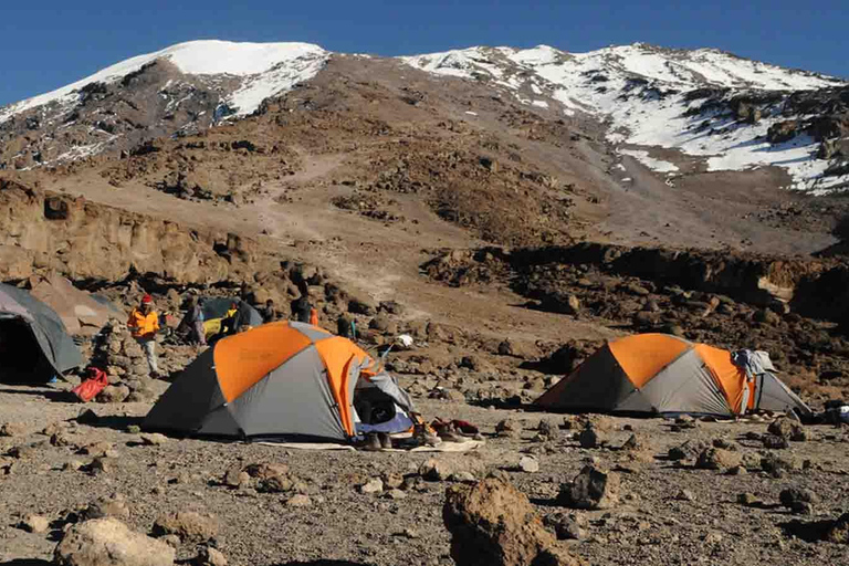 7-tägige Kilimandscharo-Besteigung über die Shira-Route