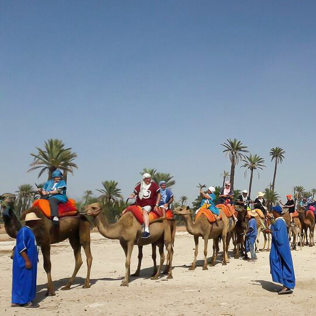 Marrakech : Randonnée à dos de chameau - dromadaire