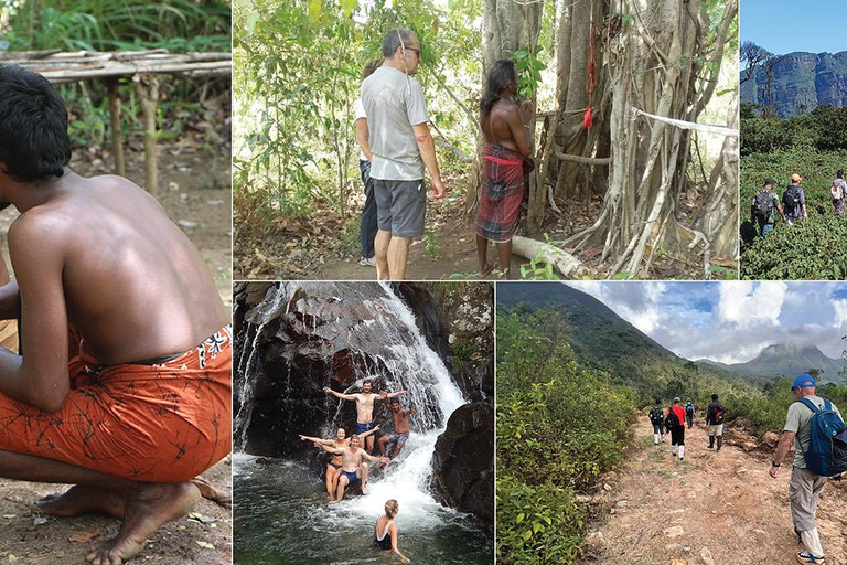 Knuckles Mountain Hike, Waterfalls & Village Tour Kandy