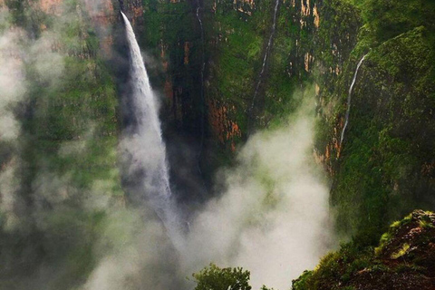 Simien Mountains: Gelada Baboon Kingdom & Grand Escarpment